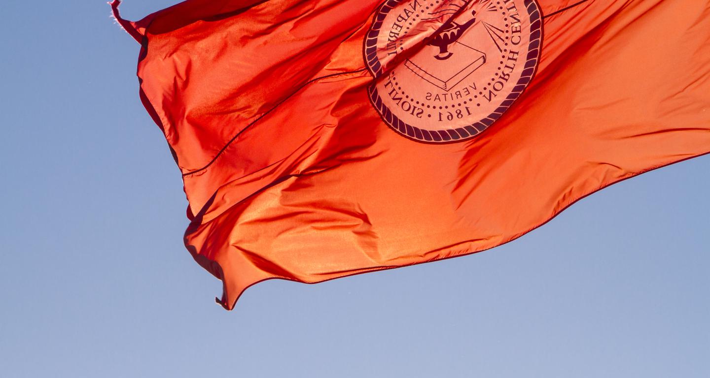 Photo of North Central College flag