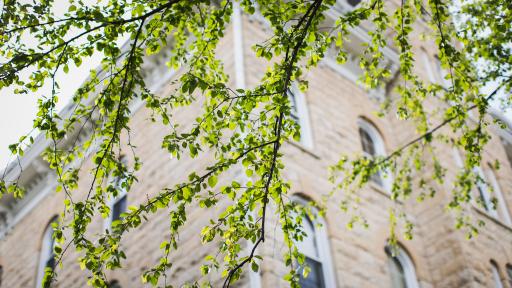 old main building in the spring